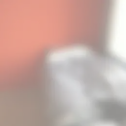 Kamer Foto #0 te huur bij Huurstunt