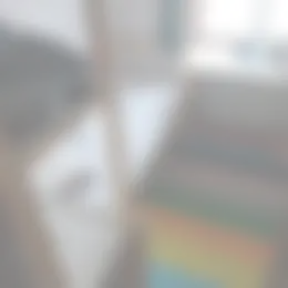 Kamer Foto #0 te huur bij Huurstunt