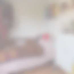 Kamer Foto #0 te huur bij Huurstunt