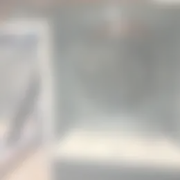 Kamer Foto #0 te huur bij Huurstunt