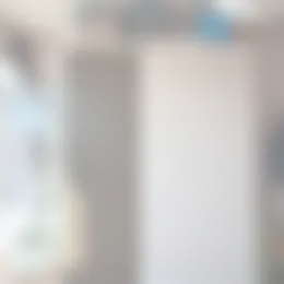 Foto #4 Kamer Caan van Necklaan Rijswijk