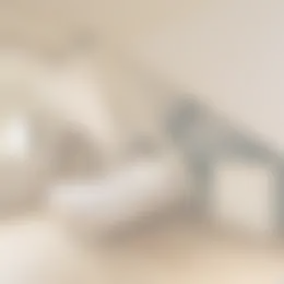 Studio Foto #0 te huur bij Huurstunt