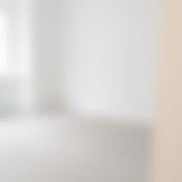 Kamer Foto #0 te huur bij Huurstunt