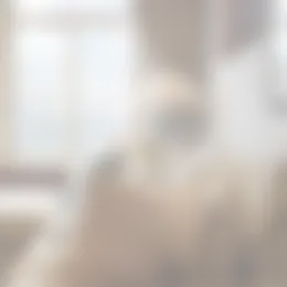 Appartement Foto #0 te huur bij Huurstunt