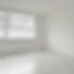 Appartement Foto #0 te huur bij Huurstunt