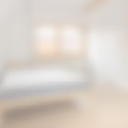 Foto #5 Kamer Nassaulaan Ede