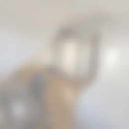 Kamer Foto #0 te huur bij Huurstunt