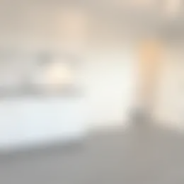 Studio Foto #0 te huur bij Huurstunt