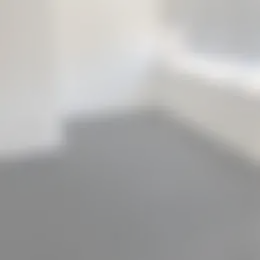 Kamer Foto #0 te huur bij Huurstunt