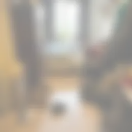 Kamer Foto #0 te huur bij Huurstunt