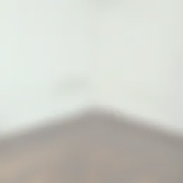 Kamer Foto #0 te huur bij Huurstunt