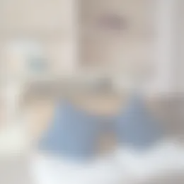 Studio Foto #0 te huur bij Huurstunt