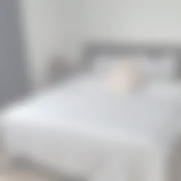 Kamer Foto #0 te huur bij Huurstunt