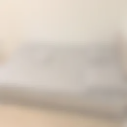 Kamer Foto #0 te huur bij Huurstunt