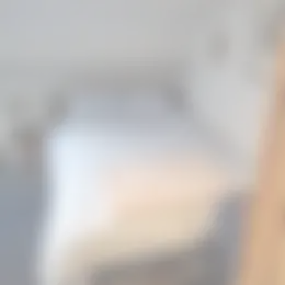 Kamer Foto #0 te huur bij Huurstunt