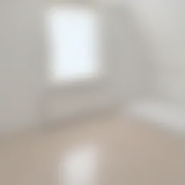 Kamer Foto #0 te huur bij Huurstunt