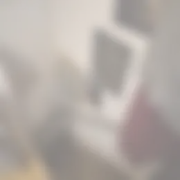 Kamer Foto #0 te huur bij Huurstunt