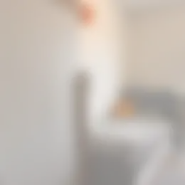 Kamer Foto #0 te huur bij Huurstunt