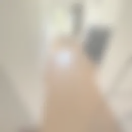 Kamer Foto #0 te huur bij Huurstunt