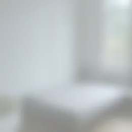 Kamer Foto #0 te huur bij Huurstunt