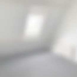Kamer Foto #0 te huur bij Huurstunt