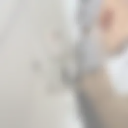 Kamer Foto #0 te huur bij Huurstunt