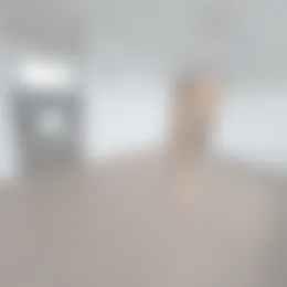 Kamer Foto #0 te huur bij Huurstunt