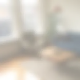 Appartement Foto #0 te huur bij Huurstunt
