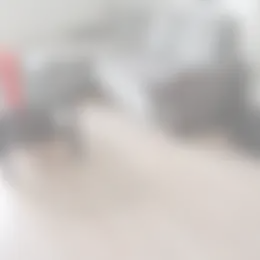 Studio Foto #0 te huur bij Huurstunt