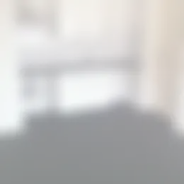 Studio Foto #0 te huur bij Huurstunt