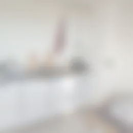 Kamer Foto #0 te huur bij Huurstunt