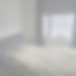 Foto #1 Kamer Eerstegeluk Amsterdam