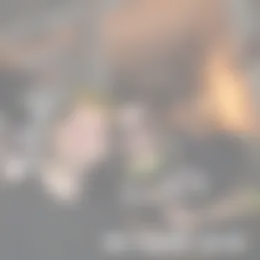 Kamer Foto #0 te huur bij Huurstunt