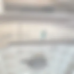 Kamer Foto #0 te huur bij Huurstunt