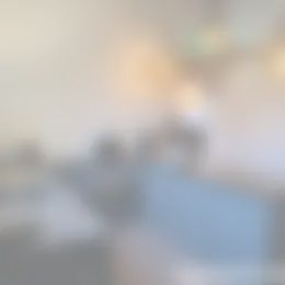 Foto #5 Kamer Ommedijk Schipluiden