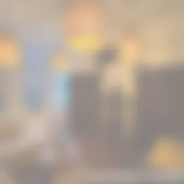 Foto #4 Kamer Ommedijk Schipluiden