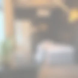Foto #3 Kamer Ommedijk Schipluiden