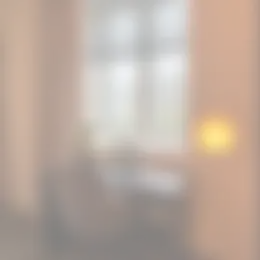 Foto #1 Kamer Ommedijk Schipluiden