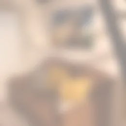 Kamer Foto #0 te huur bij Huurstunt