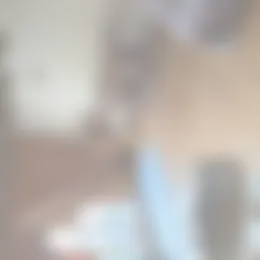 Kamer Foto #0 te huur bij Huurstunt