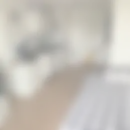 Studio Foto #0 te huur bij Huurstunt