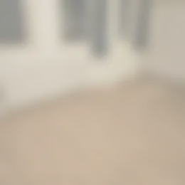 Kamer Foto #0 te huur bij Huurstunt
