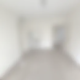 Foto #1 Kamer Dorpsstraat Nieuwveen