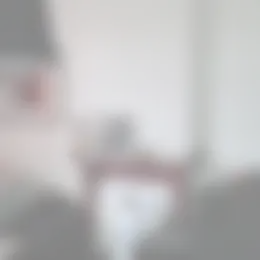 Kamer Foto #0 te huur bij Huurstunt
