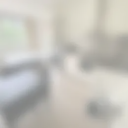 Studio Foto #0 te huur bij Huurstunt