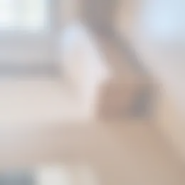 Kamer Foto #0 te huur bij Huurstunt