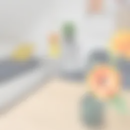 Kamer Foto #0 te huur bij Huurstunt