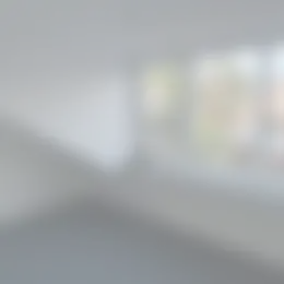Kamer Foto #0 te huur bij Huurstunt