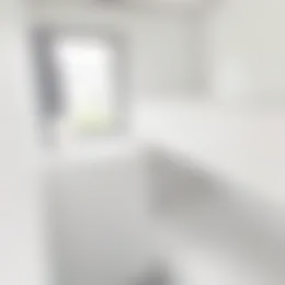 Foto #6 Studio Hoge Dijkseweg Kesteren