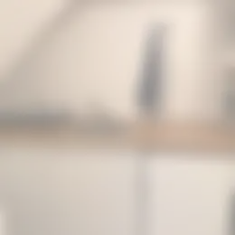 Studio Foto #0 te huur bij Huurstunt